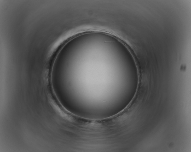 X0000093521503200710121534