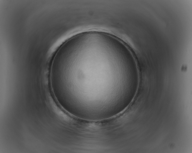 X0000093521504200710121534