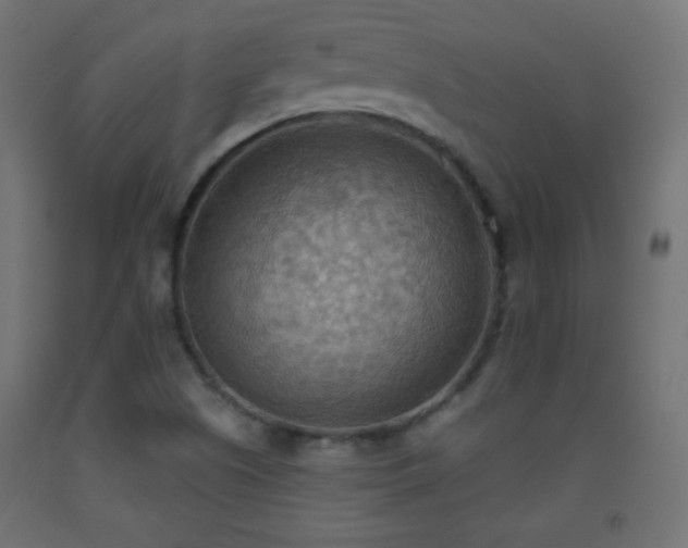 X0000093521505200710121534