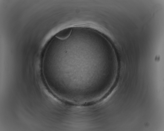 X0000093521506200710121534
