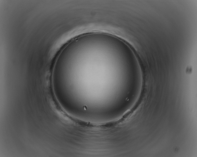 X0000093521507200710121534