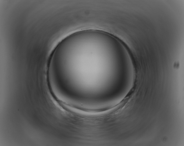 X0000093521508200710121534