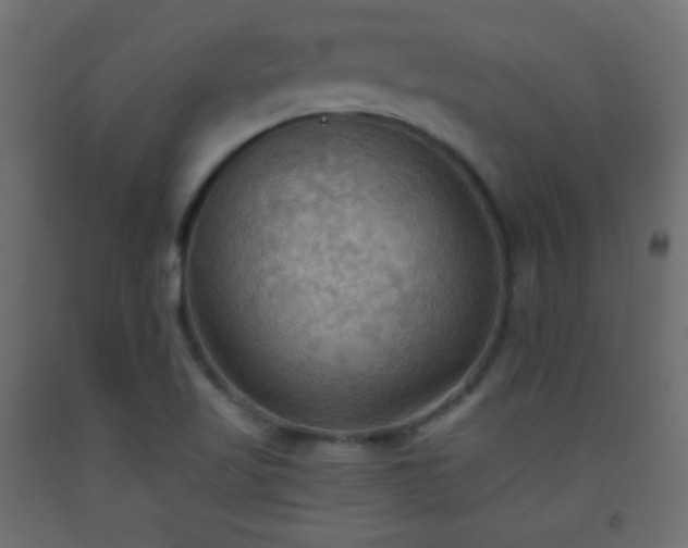 X0000093521509200710121534