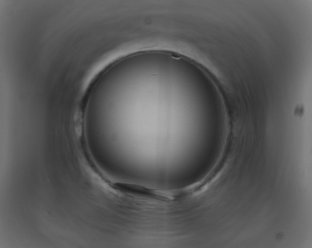 X0000093521510200710121534