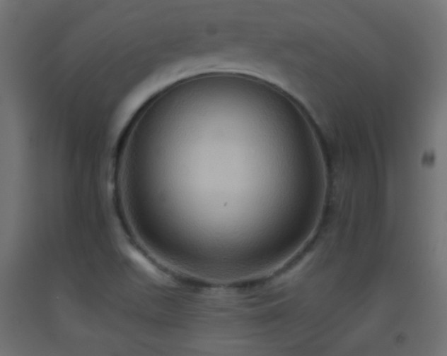 X0000093521511200710121534