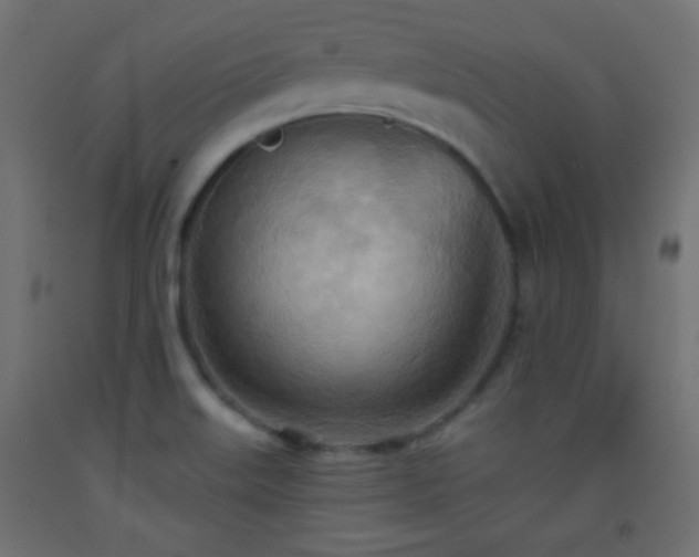 X0000093521515200710121534