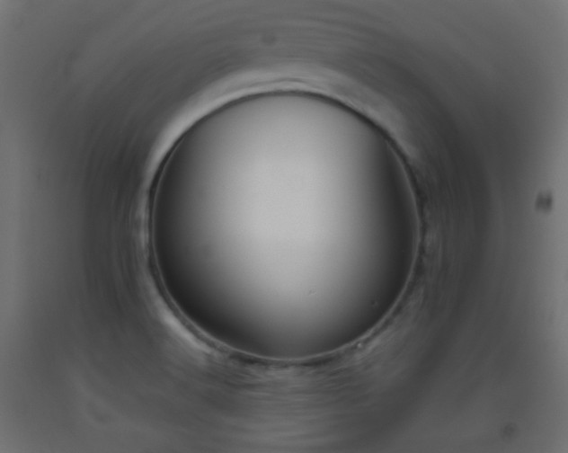 X0000093521516200710121534