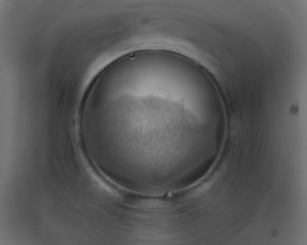 X0000093521517200710121534