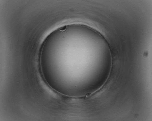 X0000093521518200710121534