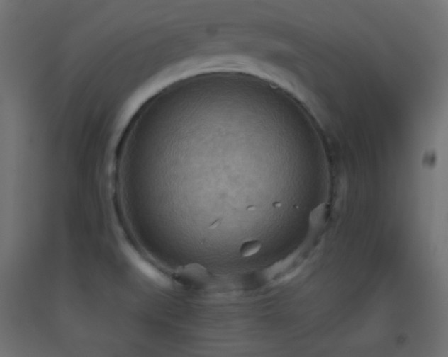 X0000093521519200710121534