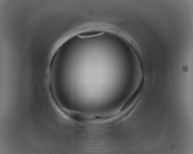 X0000093521520200710121534