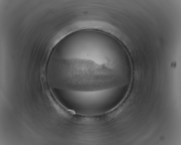 X0000093521521200710121534