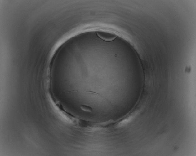 X0000093521522200710121534