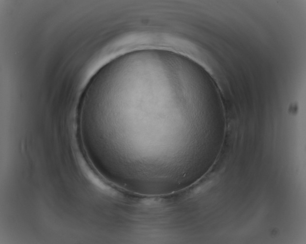 X0000093521523200710121534
