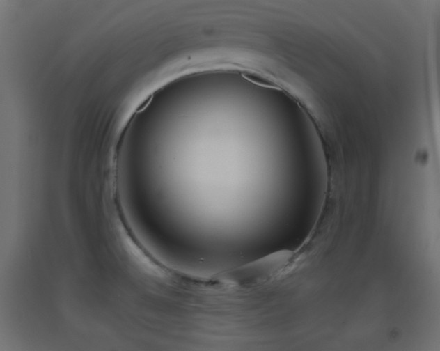X0000093521524200710121534