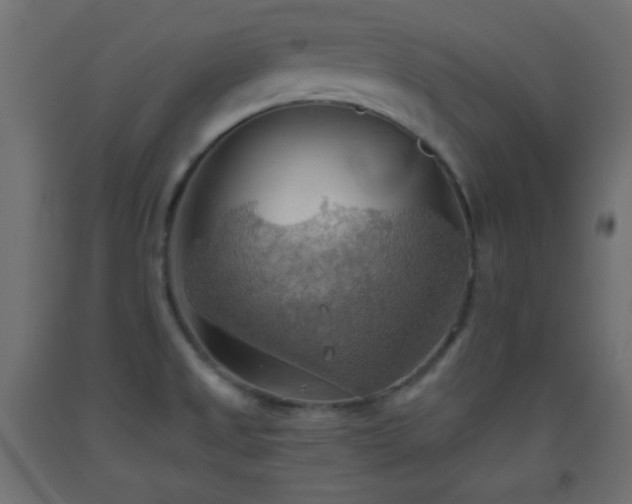 X0000093521525200710121534