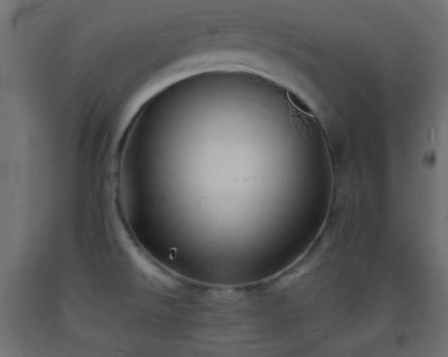 X0000093521526200710121534