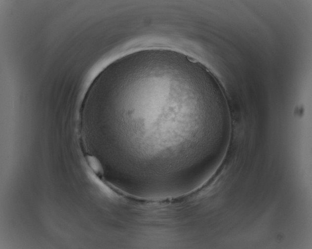 X0000093521527200710121534