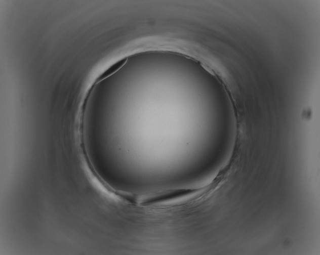 X0000093521528200710121534