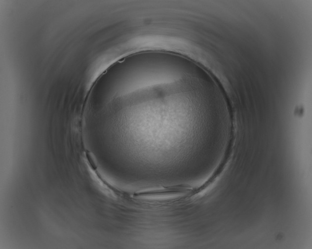 X0000093521529200710121534