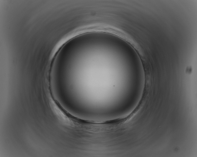 X0000093521530200710121534