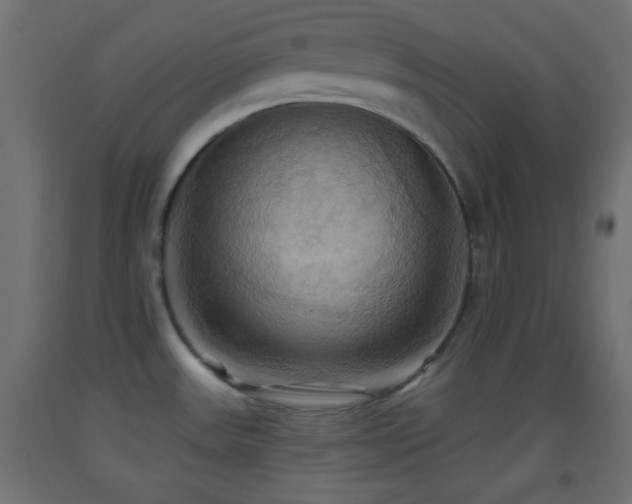 X0000093521531200710121534