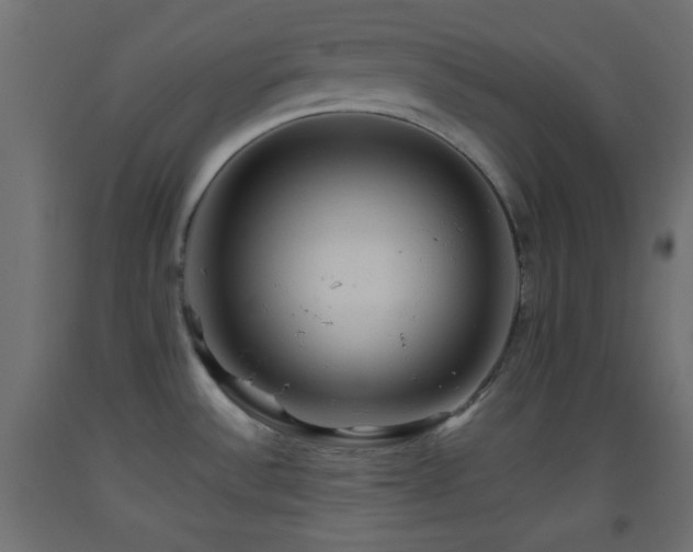 X0000093521532200710121534