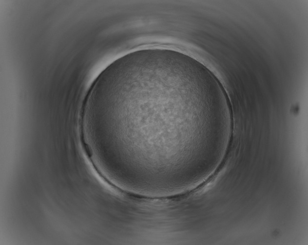 X0000093521533200710121534