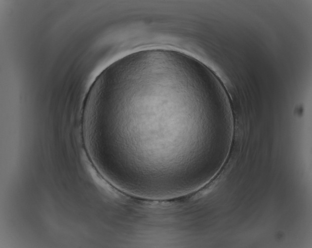 X0000093521534200710121534