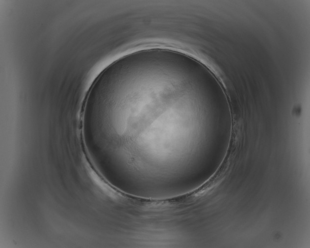 X0000093521535200710121534