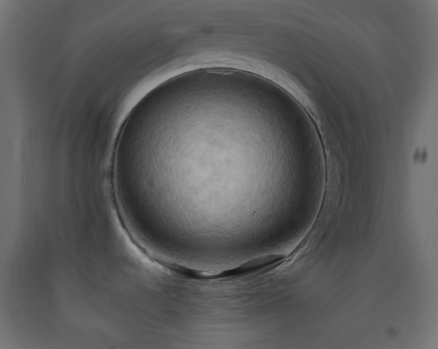 X0000093521536200710121534