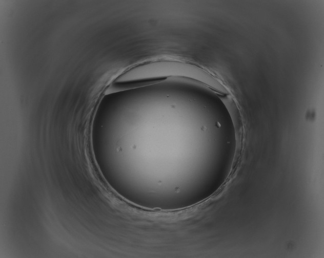 X0000093520001200710191342