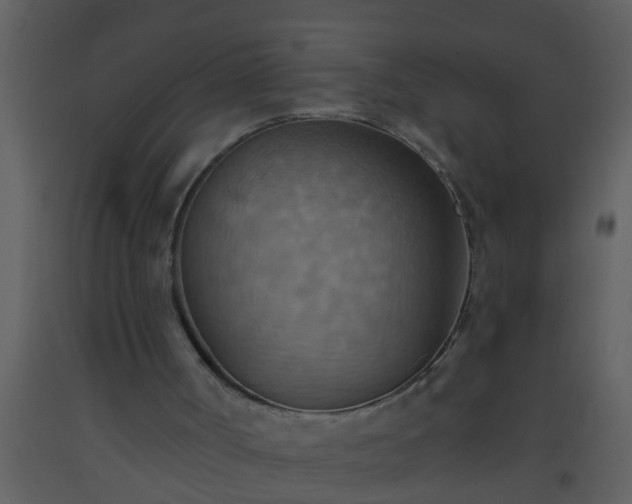 X0000093520002200710191342