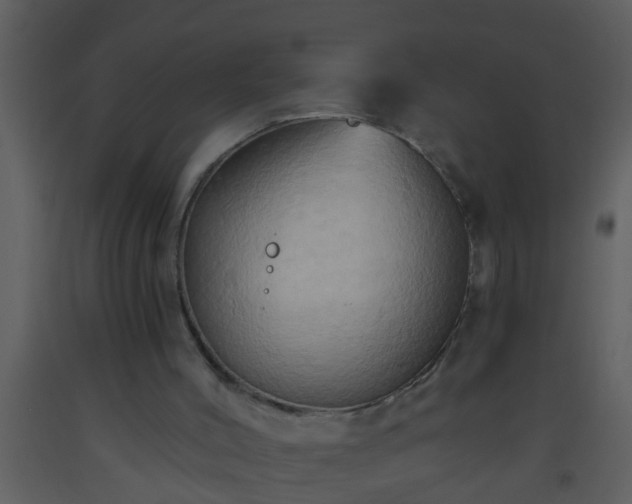 X0000093520004200710191342