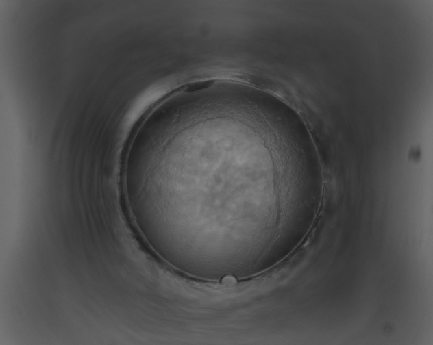 X0000093520006200710191342