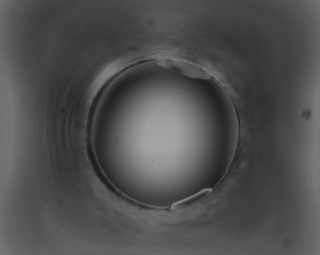 X0000093520007200710191342