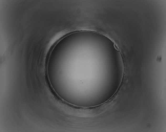 X0000093520008200710191342