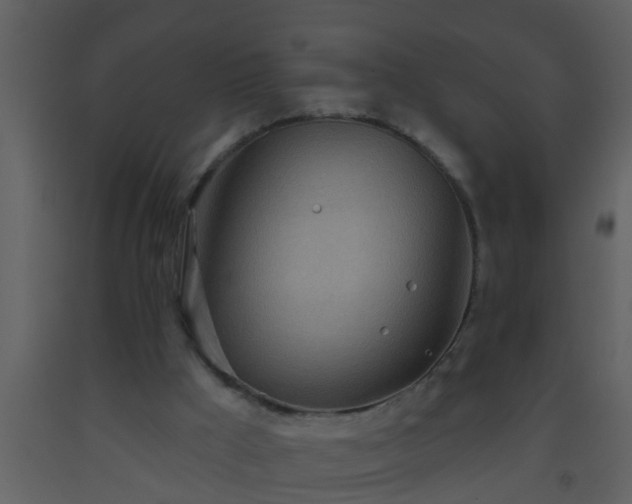 X0000093520009200710191342