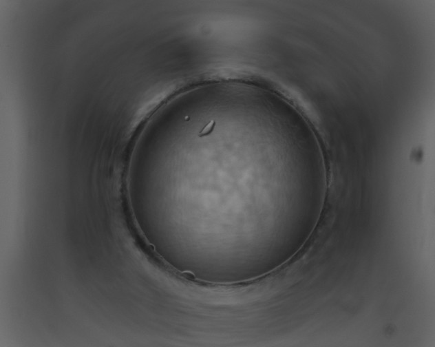 X0000093520010200710191342