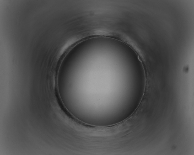 X0000093520011200710191342