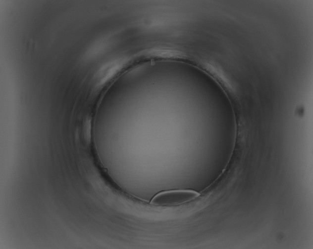 X0000093520014200710191342