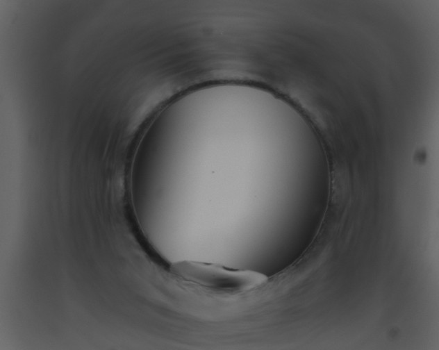 X0000093520015200710191342