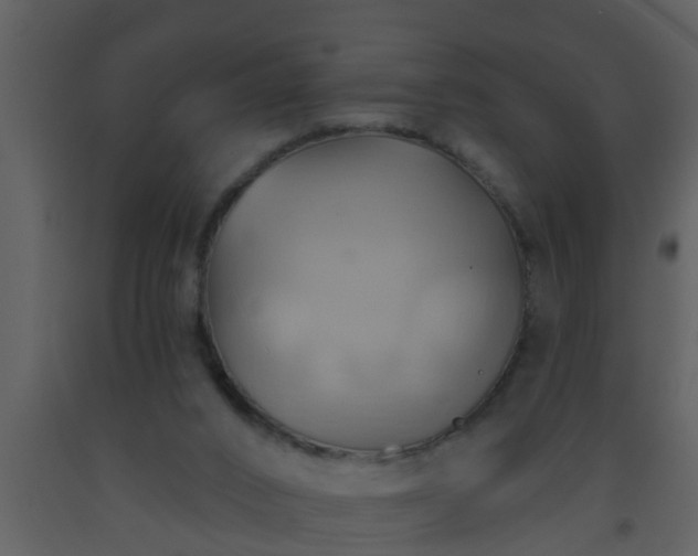 X0000093520016200710191342