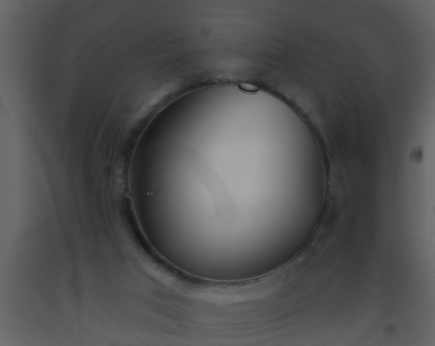 X0000093520017200710191342