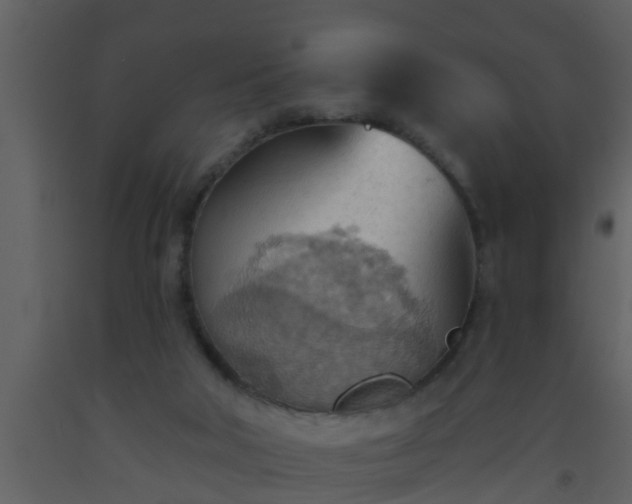 X0000093520018200710191342