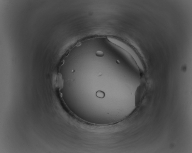 X0000093520019200710191341