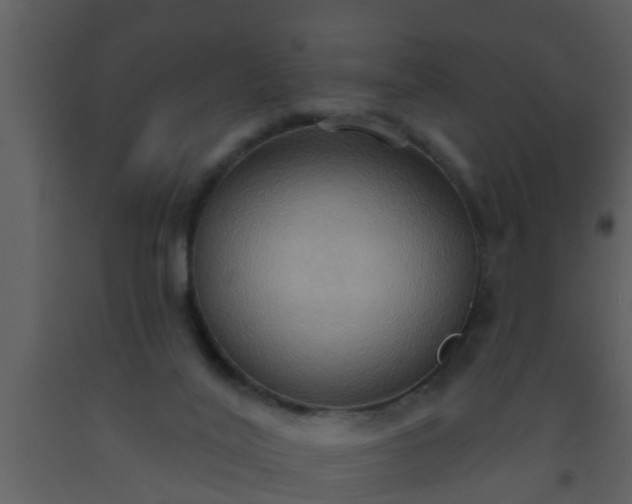 X0000093520020200710191341