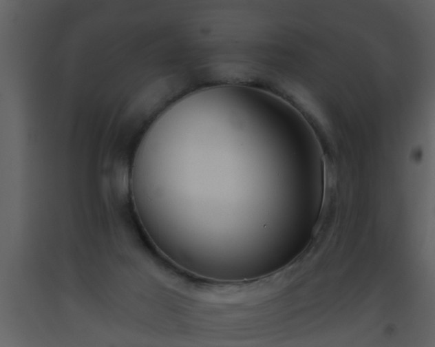 X0000093520021200710191341