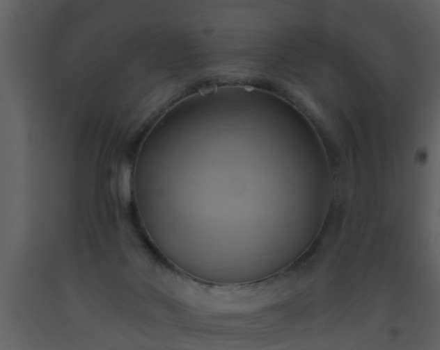 X0000093520022200710191341