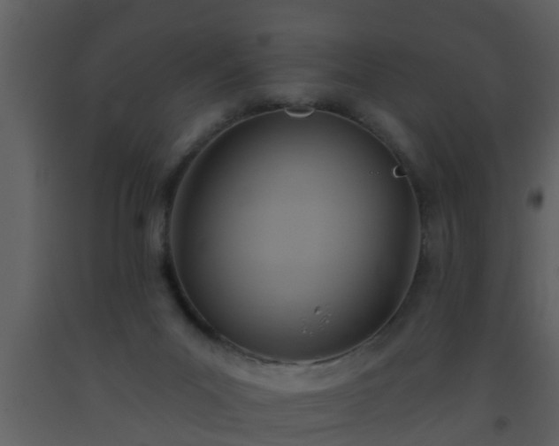 X0000093520023200710191341